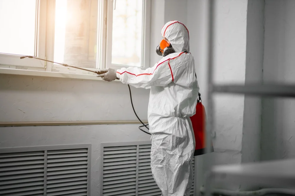Professional mold remediation services in Jersey, AR